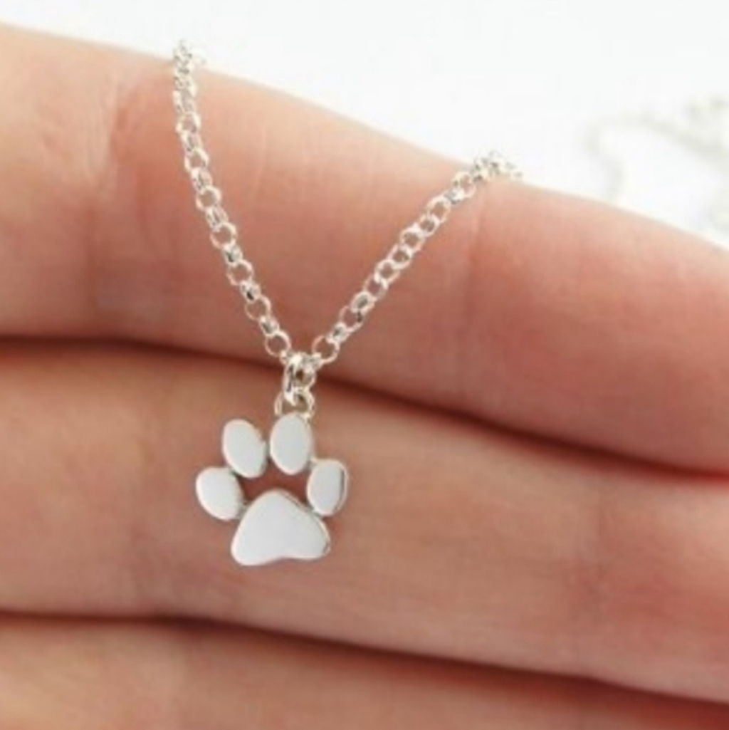 320 Sale Nwt Silver Paw Necklace 8$
